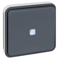 OXXO BP lumineux compos GRIS IP55 (60824)