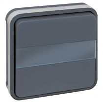 OXXO BP porte etiq lum GRIS ENCASTRE IP55 (60885)