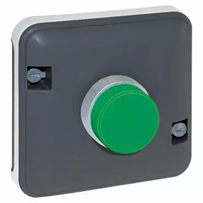 OXXO Voyant vert compos GRIS IP55 (60848)