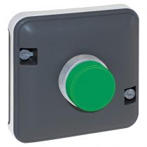 OXXO Voyant vert compos GRIS IP55 (60848)