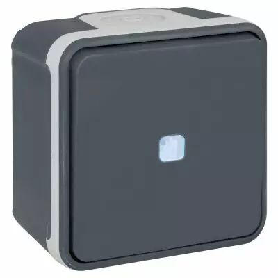 OXXO VV lumineux GRIS SAILLIE IP55 (60801)