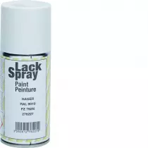 Peinture aérosol RAL9010 150ml (FZ792N)