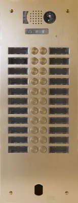 Plaq Video Alu 2R 22 Bp 2Voice Champagne (V83/222CH)