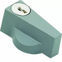 Poignée avec clé N427 (FL96Z)