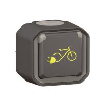 Prise de courant 2P+T étanche pour recharge de vélos et 2 roues électriques Plexo 16A 230V complète fixation saillie anthracite 