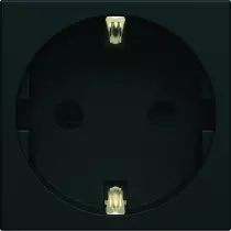 Prise de courant Schuko gallery 2P+T night (WXF160N)