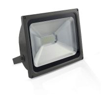 project led  230 v      50 w 3000 k plat gris ip65 (80081)