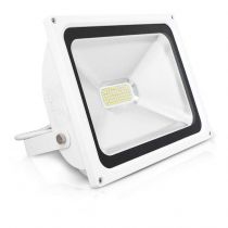 project led vision-el 230 v   50 w 6000k plat white ip65 (800316)