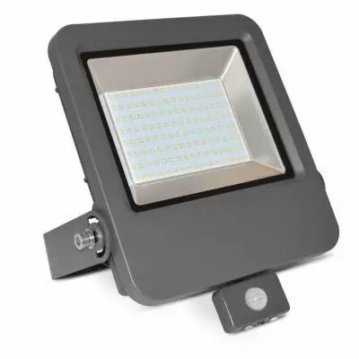 project led vision-el 230 v  100 w 6000k plat gris + detect ip65 (80352)