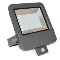 project led vision-el 230 v  100 w 6000k plat gris + detect ip65 (80352)