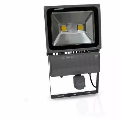project led vision-el 230 v 100 watt 3000k gris + detect ip65 (8041)