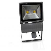 project led vision-el 230 v 100 watt 3000k gris + detect ip65 (8041)