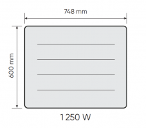 Radiateur connecté Nirvana Neo horizontal 1250W blanc (529917)