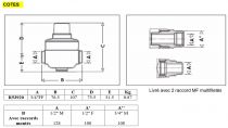 Réducteur de pression NF (R53920)