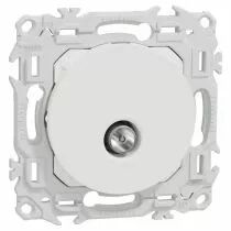 SCHNEIDER ELECTRIC - Odace - prise TV simple mâle - sortie coaxiale - blanc craie (S920445)