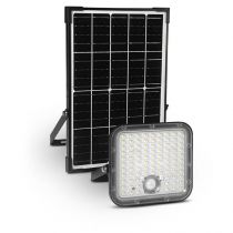 sedum projecteur solaire 30w 3000k asym detect ir 3ans (100752)